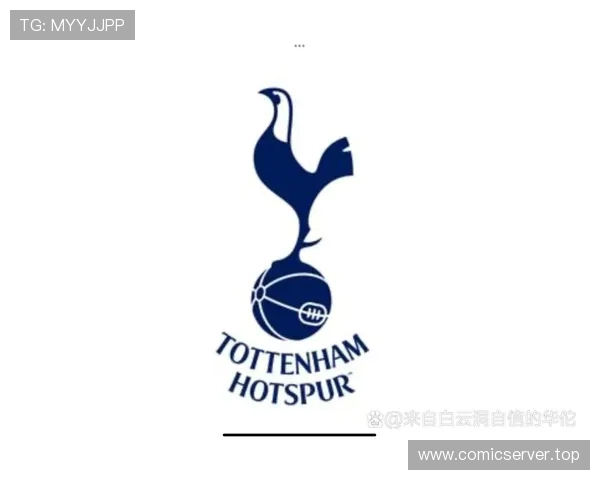 意甲球队破产程序及俱乐部财务风险案例研究